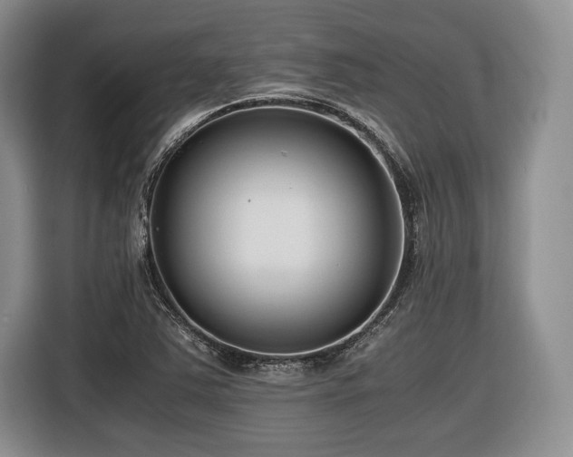 X0000116621363200912111148