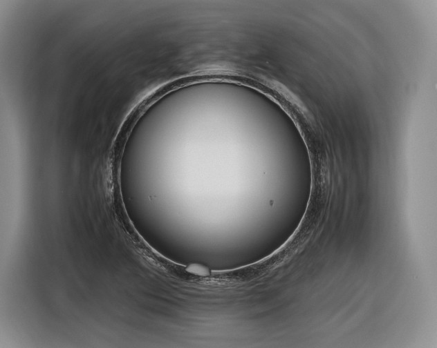 X0000116621364200912111148
