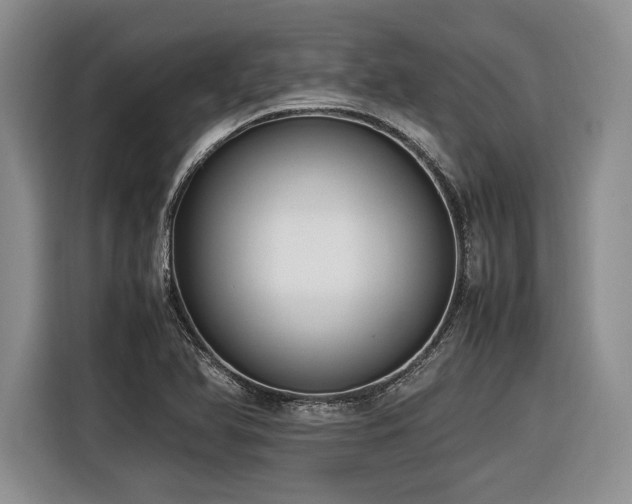 X0000116621366200912111148