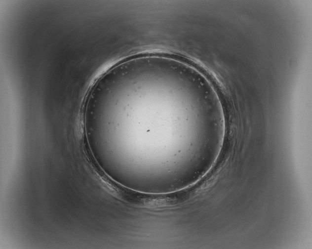 X0000116621367200912111148