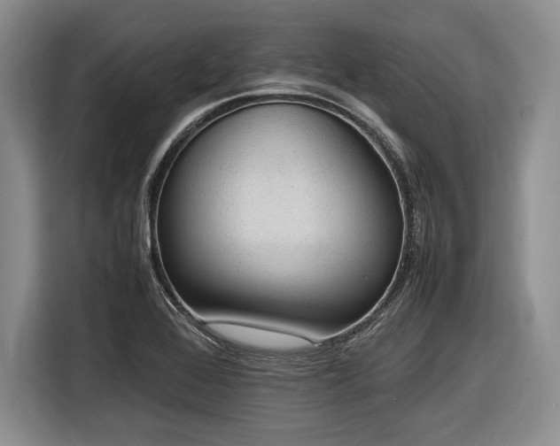 X0000116621368200912111148