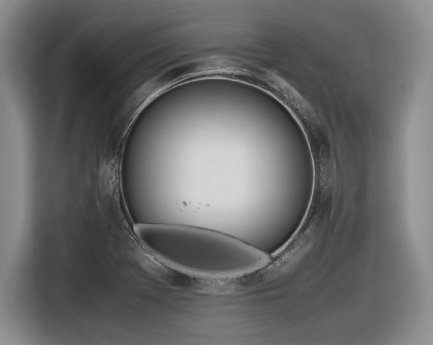 X0000116621369200912111148