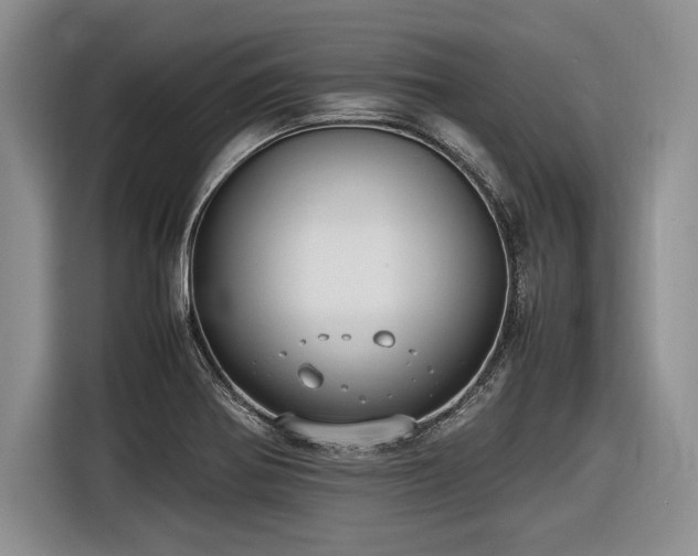 X0000116621370200912111148