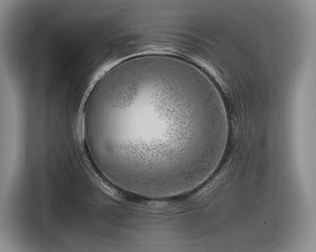 X0000116621371200912111148