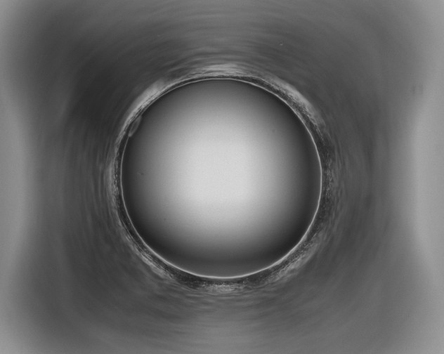 X0000116621373200912111148