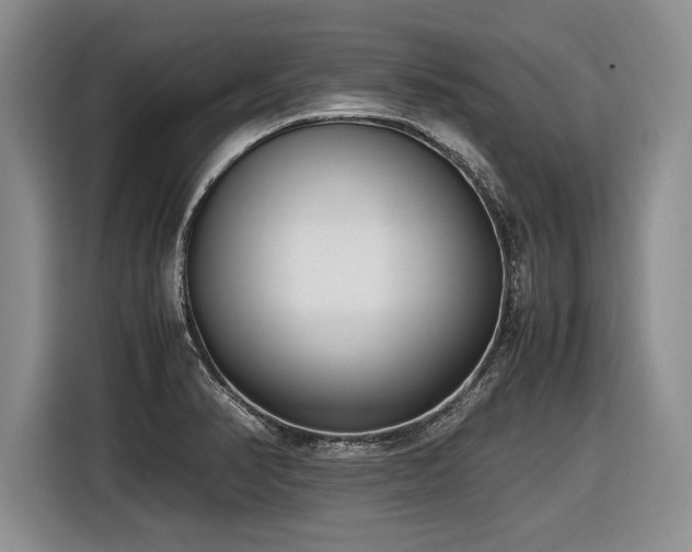 X0000116621374200912111148