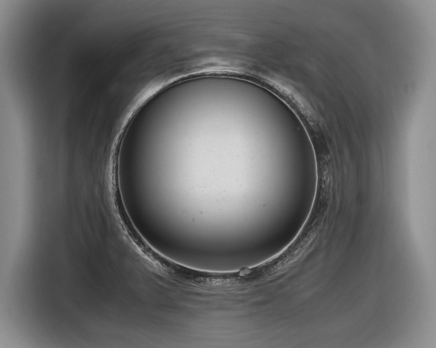 X0000116621375200912111148