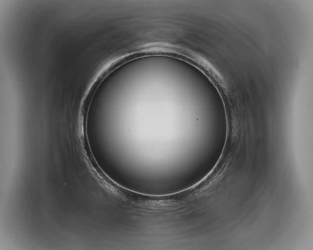 X0000116621376200912111148