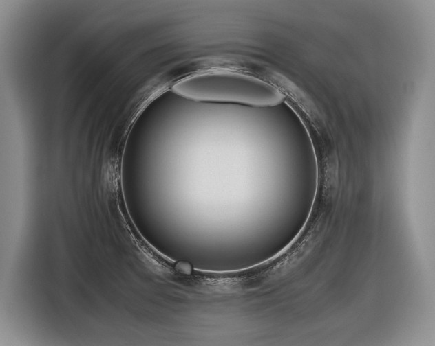 X0000116621377200912111148
