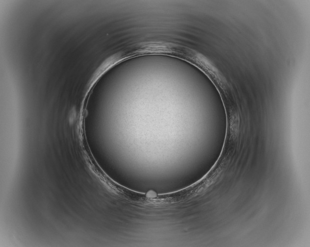 X0000116621378200912111147
