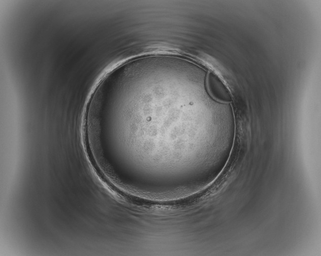 X0000116621379200912111147