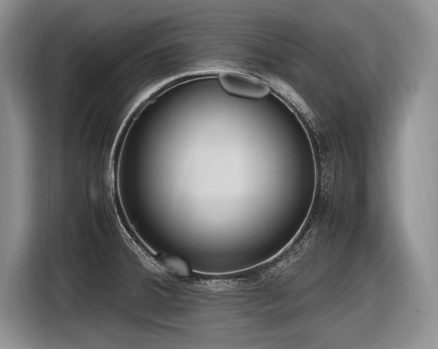 X0000116621380200912111147