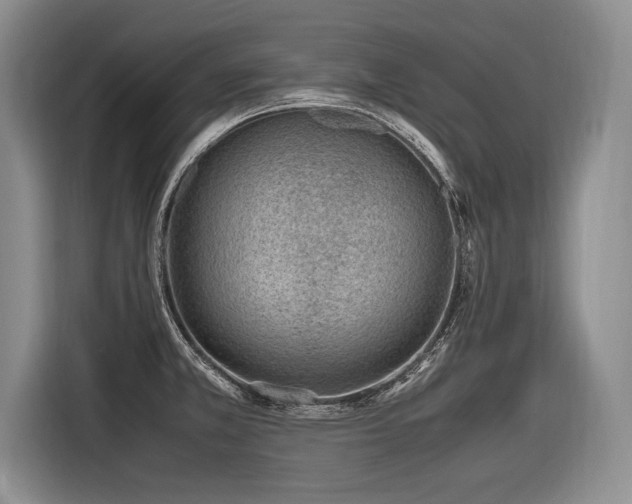 X0000116621381200912111147