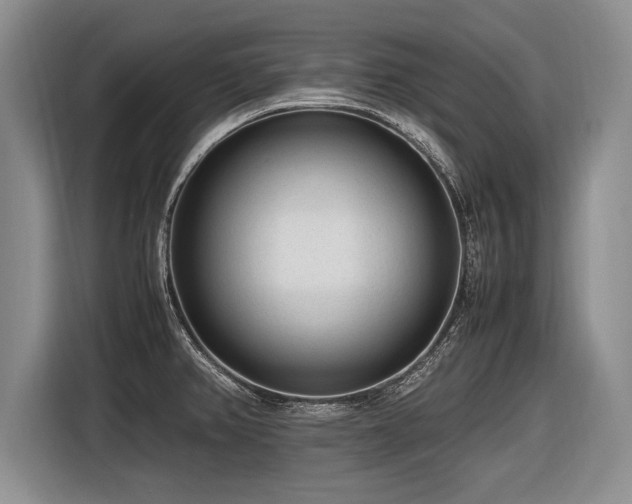 X0000116621382200912111147