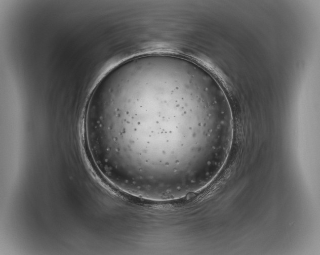 X0000116621383200912111147
