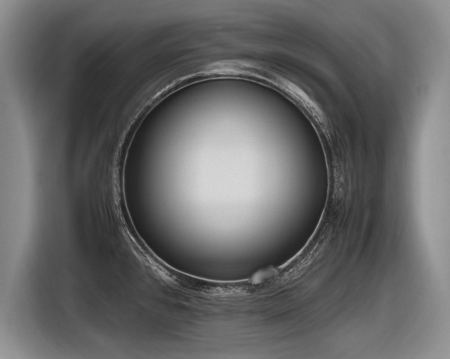 X0000116621384200912111147