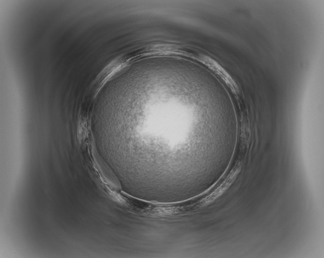 X0000116621385200912111147