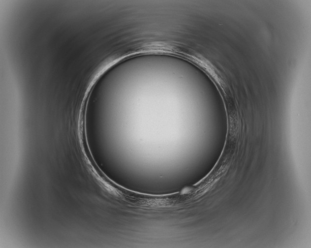 X0000116621387200912111147