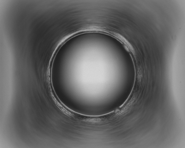 X0000116621388200912111147