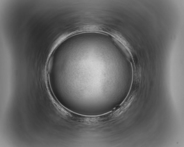 X0000116621389200912111147