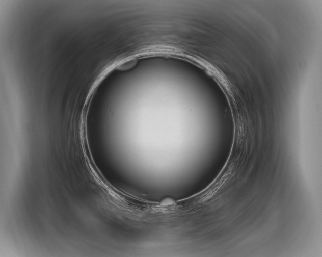 X0000116621390200912111147