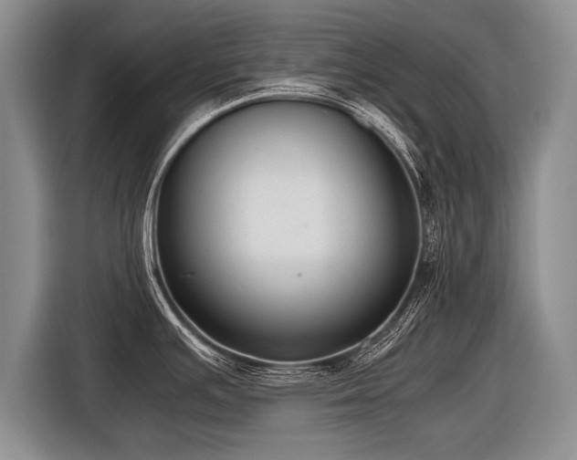 X0000116621391200912111147