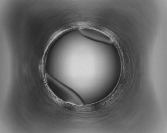 X0000116621392200912111147