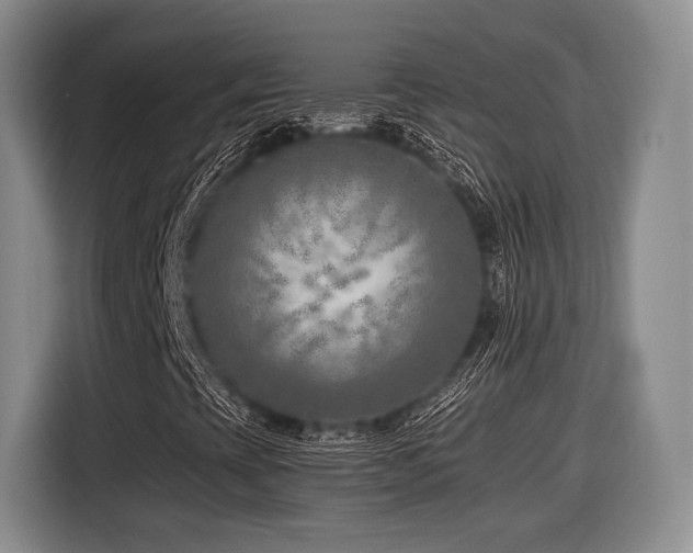 X0000116621393200912111147
