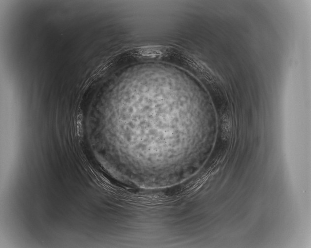 X0000116621394200912111147