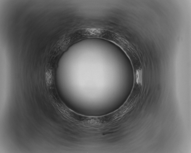X0000116621395200912111147