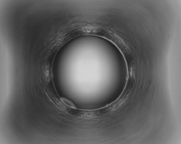 X0000116621396200912111147