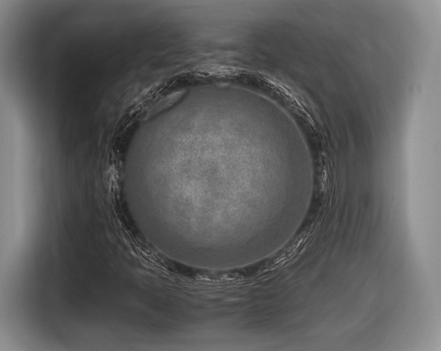 X0000116621397200912111147