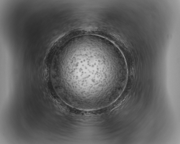 X0000116621398200912111147