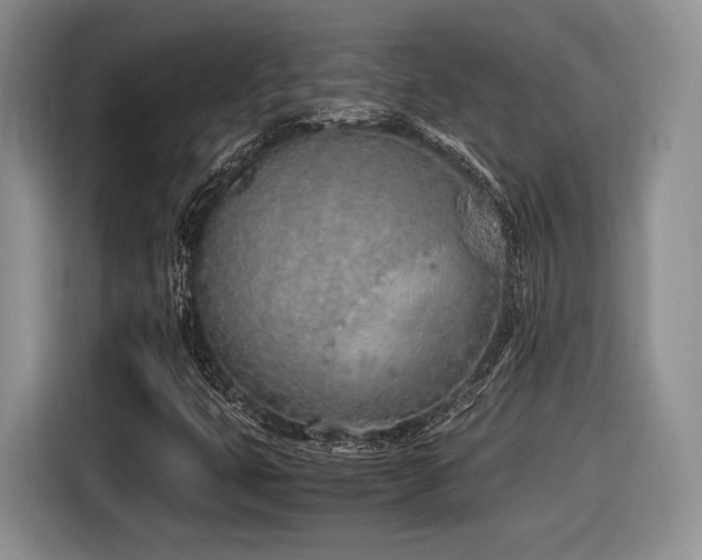 X0000116621399200912111147