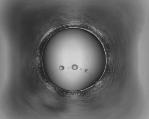 X0000116621400200912111147