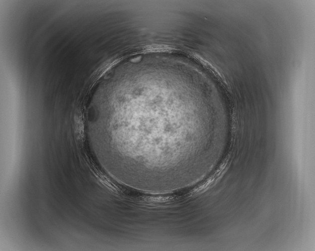 X0000116621401200912111147