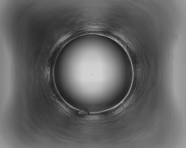 X0000116621402200912111147