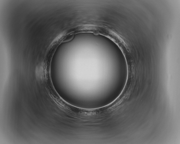 X0000116621403200912111147