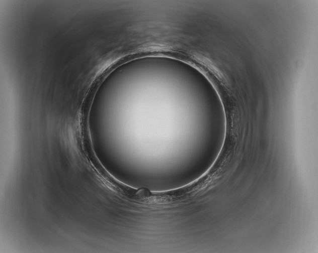 X0000116621404200912111147