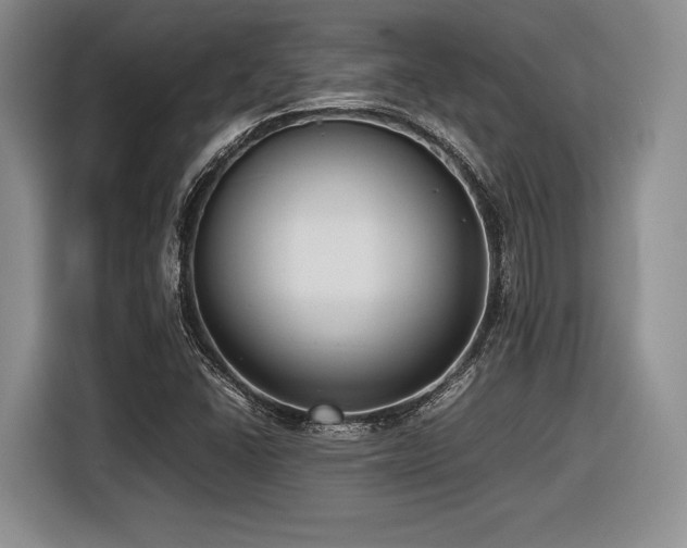 X0000116621406200912111147