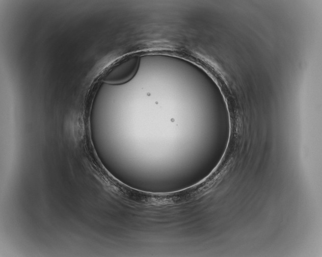 X0000116621407200912111147