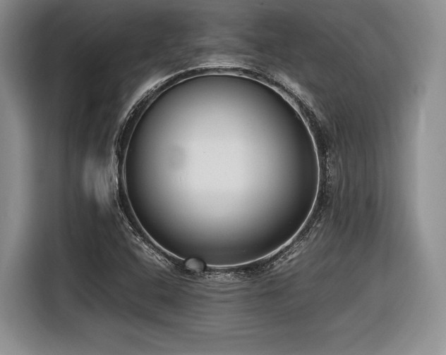 X0000116621408200912111147