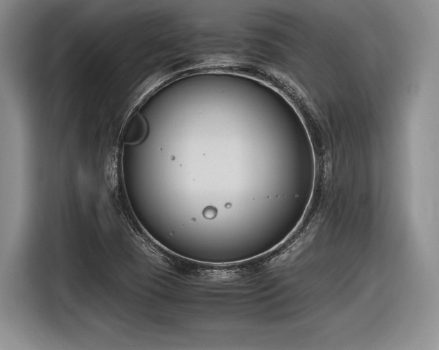 X0000116621409200912111147