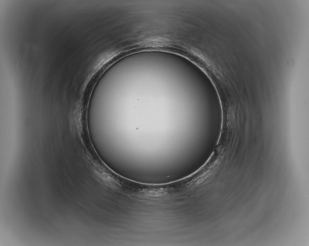 X0000116621410200912111147