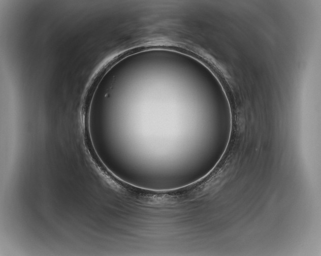 X0000116621416200912111147