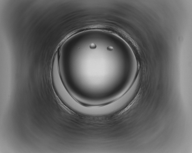 X0000116621417200912111147