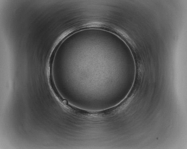 X0000116621418200912111147