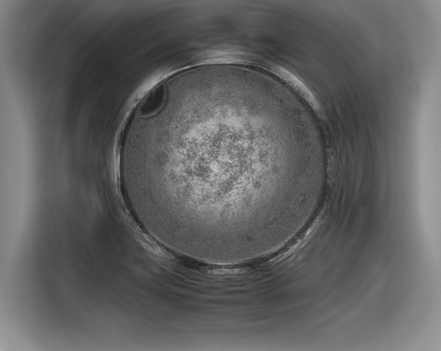 X0000116621419200912111147