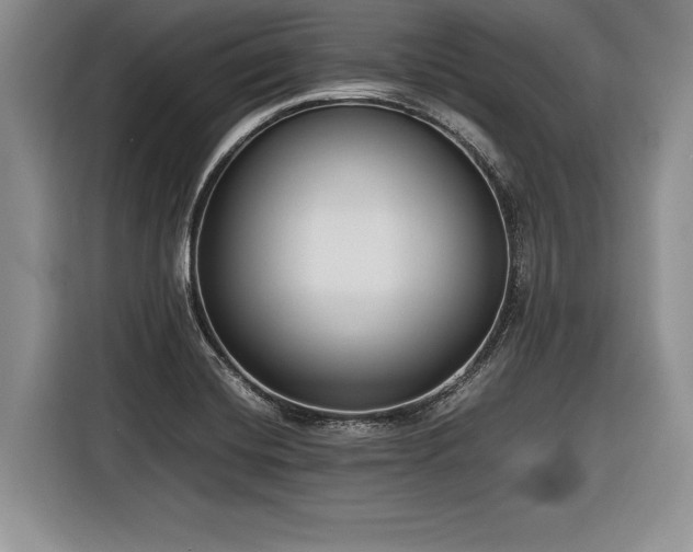 X0000116621420200912111147