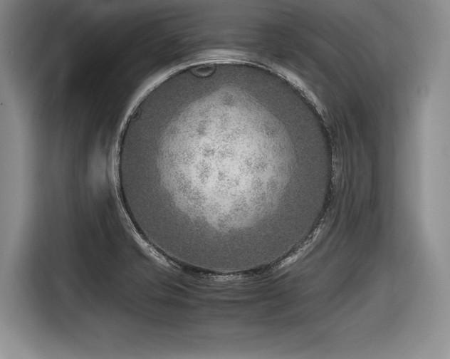 X0000116621421200912111147
